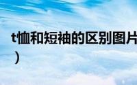 t恤和短袖的区别图片（T恤跟短袖有什么区别）