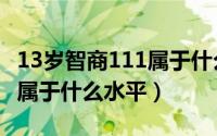 13岁智商111属于什么水平呢（13岁智商111属于什么水平）