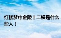 红楼梦中金陵十二钗是什么（红楼梦中的金陵12钗到底是哪些人）