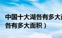 中国十大湖各有多大面积和人口（中国十大湖各有多大面积）