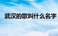 武汉的歌叫什么名字（武汉的歌有哪些急）