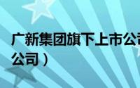 广新集团旗下上市公司（广新集团旗下有哪些公司）