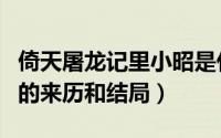 倚天屠龙记里小昭是什么人（倚天屠龙记小昭的来历和结局）