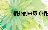 相扑的来历（相扑的由来是什么）