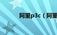 阿里p3c（阿里t3是什么标准）