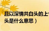 且以深情共白头的上句是什么（且以深情共白头是什么意思）