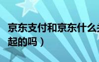 京东支付和京东什么关系（京东跟支付宝是一起的吗）