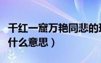 千红一窟万艳同悲的理解（千红一窟万艳同悲什么意思）