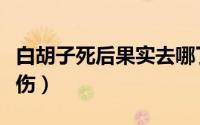 白胡子死后果实去哪了（白胡子死时受了多少伤）