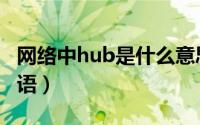 网络中hub是什么意思（hub是什么意思网络语）