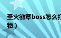 圣火徽章boss怎么打（圣火徽章攻略所有宝物）