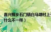 嘉兴桐乡石门镇白马塘村上千条眼镜蛇（过山峰和眼镜蛇有什么不一样）