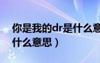 你是我的dr是什么意思英文（你是我的dr是什么意思）