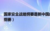 国家安全战略纲要是新中国成立以来第几部（国家安全战略纲要）