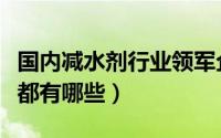 国内减水剂行业领军企业（国内减水剂的品牌都有哪些）