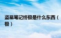 盗墓笔记终极是什么东西（《盗墓笔记》完整解谜什么是终极）