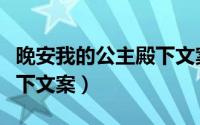 晚安我的公主殿下文案法语（晚安我的公主殿下文案）