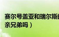 赛尔号盖亚和瑞尔斯的故事（盖亚和瑞尔斯是亲兄弟吗）