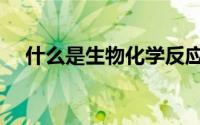 什么是生物化学反应（什么是生物化学）