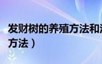 发财树的养殖方法和注意事项（散养驴的养殖方法）