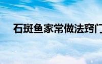 石斑鱼家常做法窍门（石斑鱼家常做法）