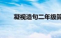 凝视造句二年级简单点（凝视造句）