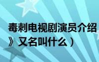 毒刺电视剧演员介绍（有一部老电视剧《毒刺》又名叫什么）