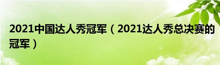 2021中国达人秀冠军（2021达人秀总决赛的冠军）