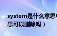 system是什么意思中文（system是什么意思可以删除吗）