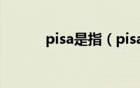 pisa是指（pisa的特点及局限）