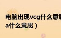 电脑出现vcg什么意思开不了机（电脑显示vca什么意思）