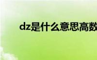 dz是什么意思高数（DZ是什么意思）