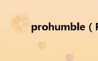 prohumble（Prohub是什么）