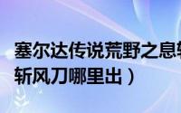 塞尔达传说荒野之息斩风刀怎么获得（塞尔达斩风刀哪里出）