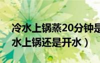 冷水上锅蒸20分钟是什么意思（蒸包子是冷水上锅还是开水）