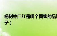 杨树林口红是哪个国家的品牌（杨树林口红是哪个国家的牌子）