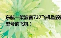 东航一架波音737飞机坠毁最新消息（东航波音737是哪个型号的飞机）