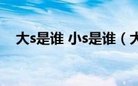 大s是谁 小s是谁（大s和小s名字的由来）