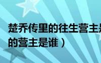 楚乔传里的往生营主是谁（楚乔传往生营真正的营主是谁）