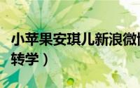 小苹果安琪儿新浪微博（小苹果安淇尔为什么转学）