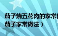 茄子烧五花肉的家常做法大全视频（五花肉烧茄子家常做法）