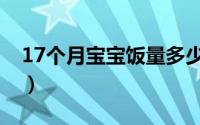 17个月宝宝饭量多少（17个月宝饭量是多大）