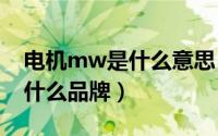 电机mw是什么意思（10月08日mnv电机是什么品牌）