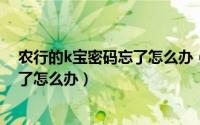 农行的k宝密码忘了怎么办（10月13日农业银行k宝密码忘了怎么办）