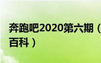 奔跑吧2020第六期（10月08日奔跑吧第六季百科）