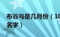 布谷鸟是几月份（10月14日布谷鸟都有哪些名字）