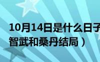 10月14日是什么日子（10月14日矿山烽火许智武和桑丹结局）