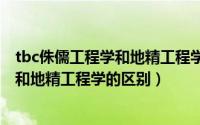 tbc侏儒工程学和地精工程学哪个好（10月14日侏儒工程学和地精工程学的区别）