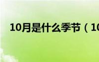 10月是什么季节（10月14日什么的匆匆）