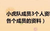 小虎队成员3个人资料（10月14日至上励合各个成员的资料）